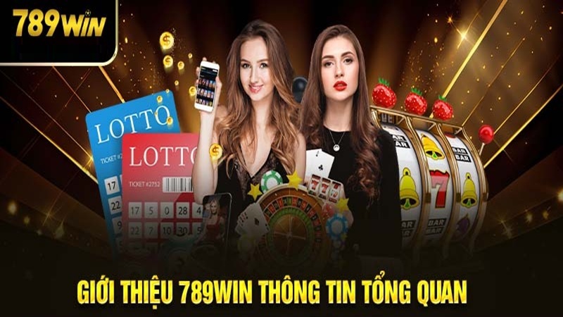 Nhà cái 789WIN - Tổng quan về nhà cái dành cho tất cả dân chơi.