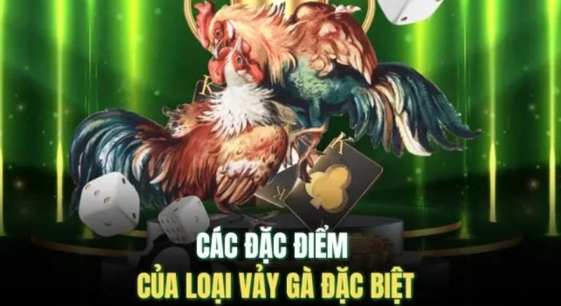 Tìm Hiểu Vảy Gà Huyền Trâm Rất Quý Hiếm Tại Good88 Screenshot 1