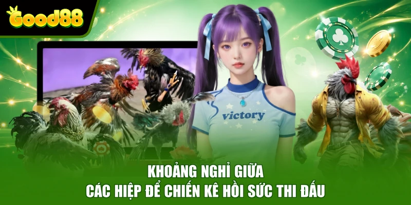 Đá Gà Good88 - Theo Dõi Trận Đấu Sắc Nét Đặt Cược Kịch Tính Khoảng nghỉ giữa các hiệp để chiến kê hồi sức thi đấuKhoảng nghỉ giữa các hiệp để chiến kê hồi sức thi đấu
